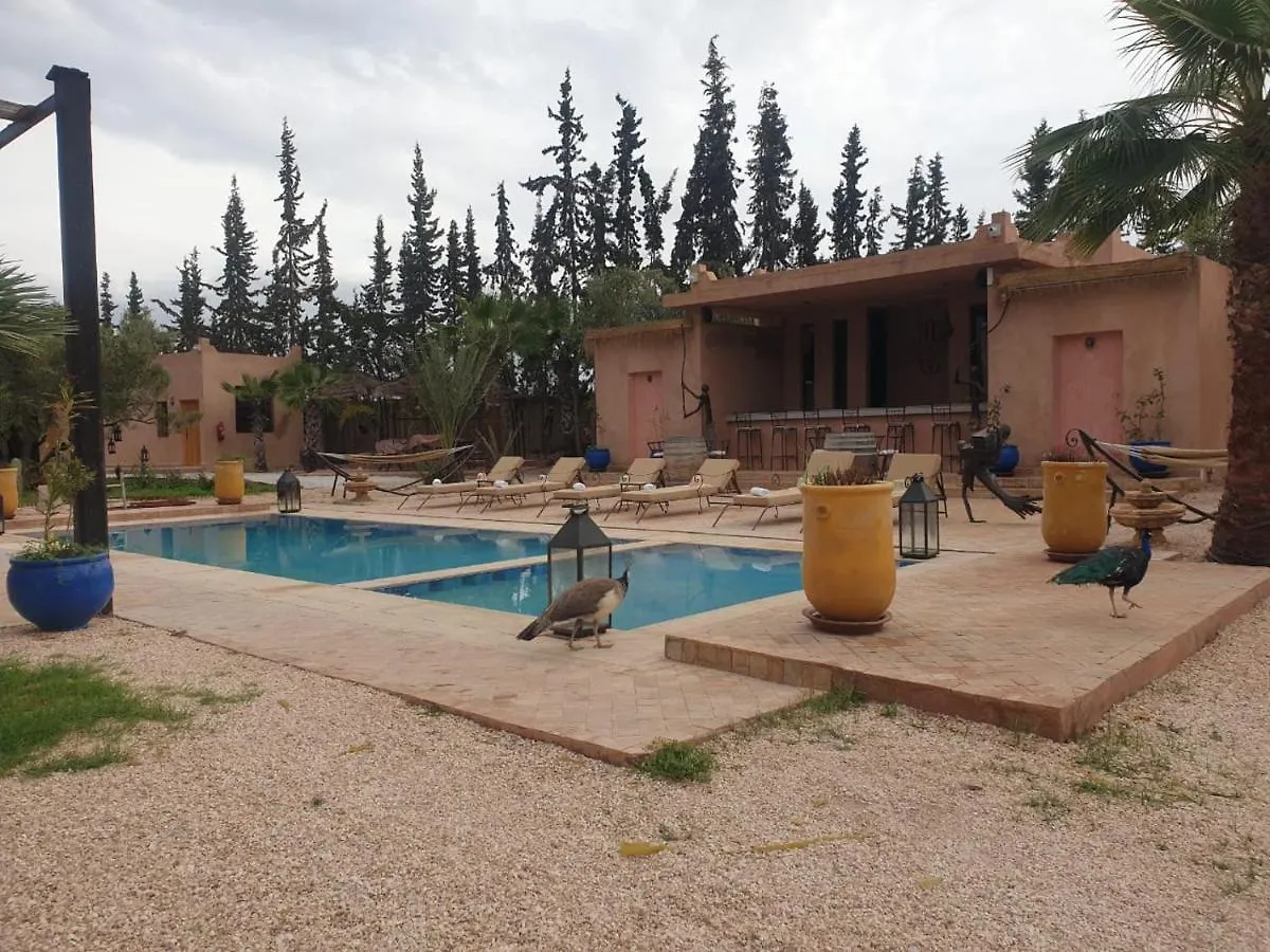 Al Firma Marrakech Μαρόκο